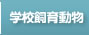 �w�Z���瓮��