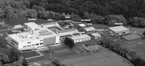 ���_�w����w���������a�@�S�i